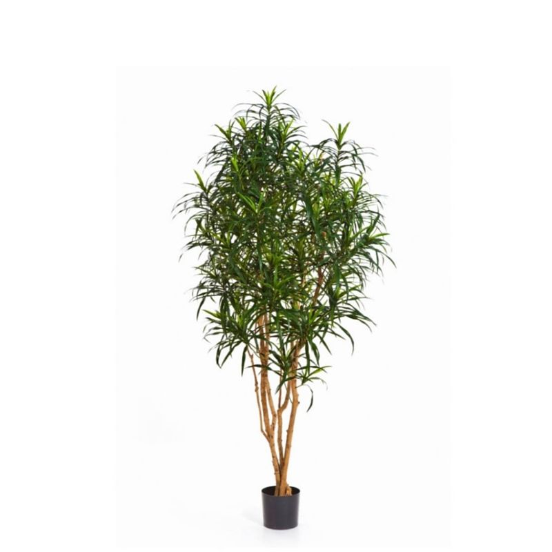 Foto van Kunstplant dracaena anita - 120 cm