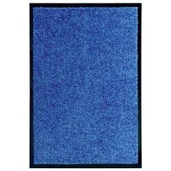 Foto van Vidaxl deurmat wasbaar 40x60 cm blauw