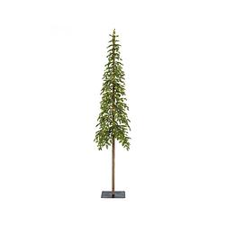 Foto van Everlands - alpine fir prelit h180cm-150l groen