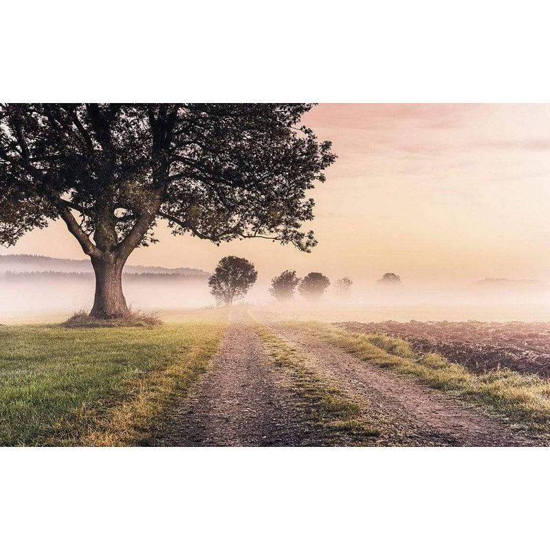 Foto van Komar misty morning vlies fotobehang 400x250cm 4-banen