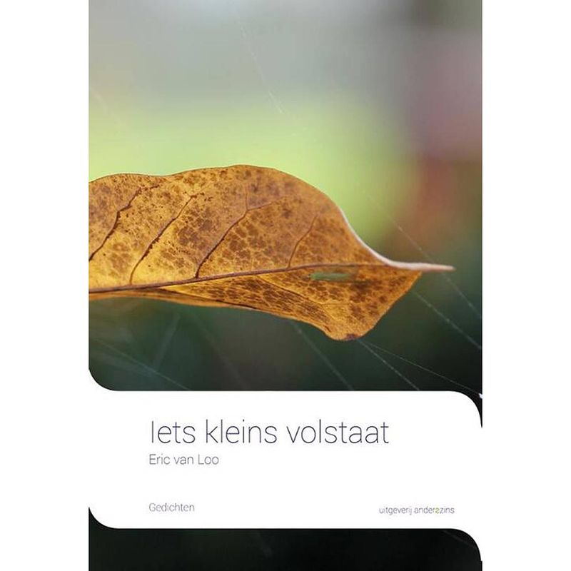 Foto van Iets kleins volstaat