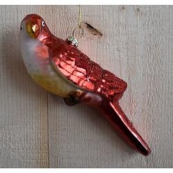 Foto van Glass bird red