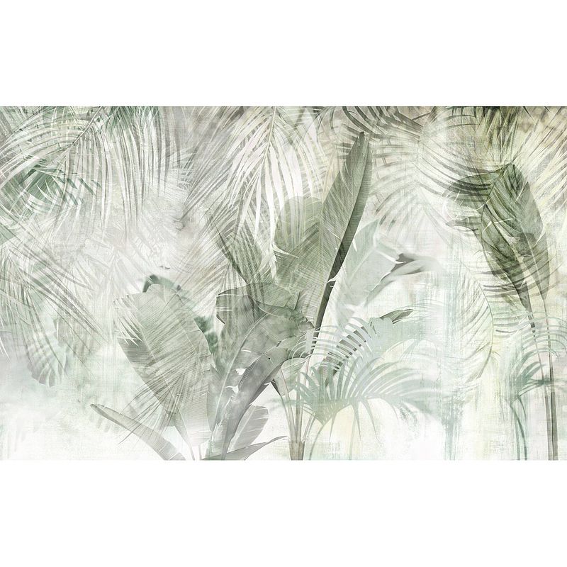 Foto van Fotobehang - botanical boho 400x250cm - vliesbehang