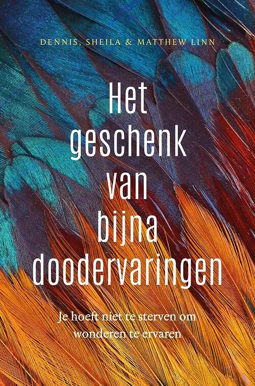 Foto van Het geschenk van bijna-doodervaringen - dennis linn, matthew linn, sheila fabricant linn - ebook (9789020214024)