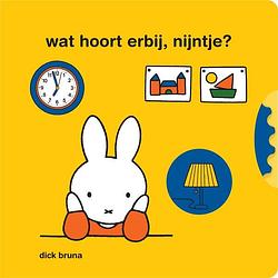 Foto van Boek wat hoort erbij, nijntje?