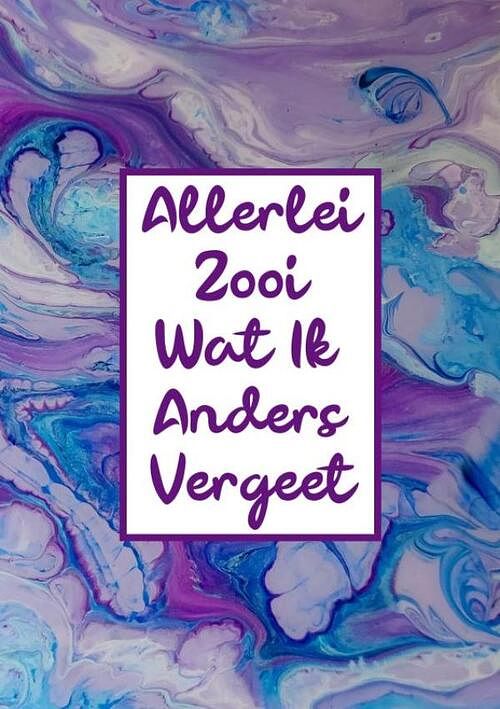 Foto van Sinterklaascadeau - wachtwoordenboekje / wachtwoorden boek - wachtwoordenboekjes & meer - paperback (9789464657944)