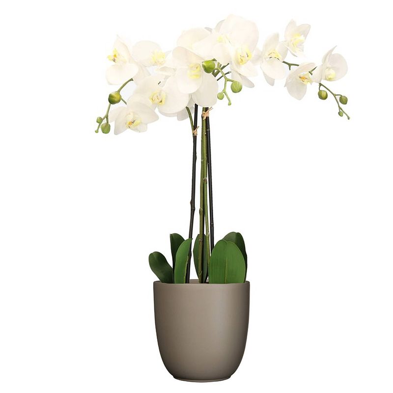 Foto van Orchidee kunstplant wit - 75 cm - inclusief bloempot taupe mat - kunstplanten