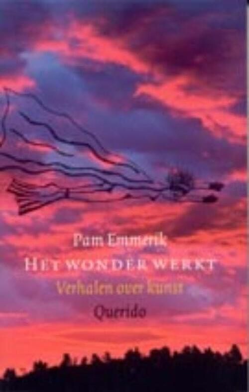 Foto van Het wonder werkt - pam emmerik - ebook (9789021435756)