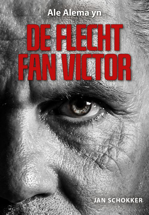 Foto van De flecht fan victor - jan schokker - ebook (9789463653008)