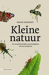 Foto van Kleine natuur - renze borkent - ebook