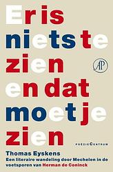 Foto van Er is niets te zien en dat moet je zien - thomas eyskens - ebook (9789029593380)