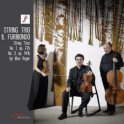 Foto van String trios no. 1, op. 77b, no. 2, op. 141b - cd (4260123643232)