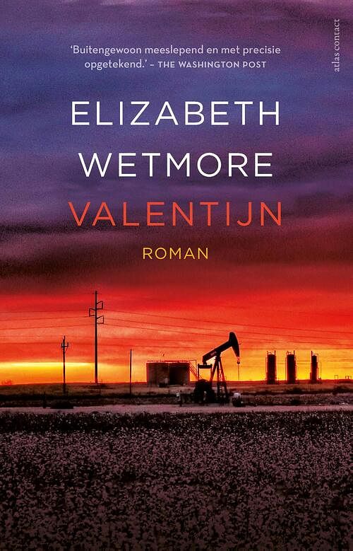 Foto van Valentijn - elizabeth wetmore - ebook (9789025454005)