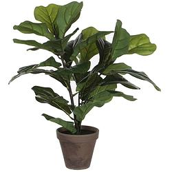 Foto van Groene ficus lyrata kunstplant 45 cm voor binnen - kunstplanten