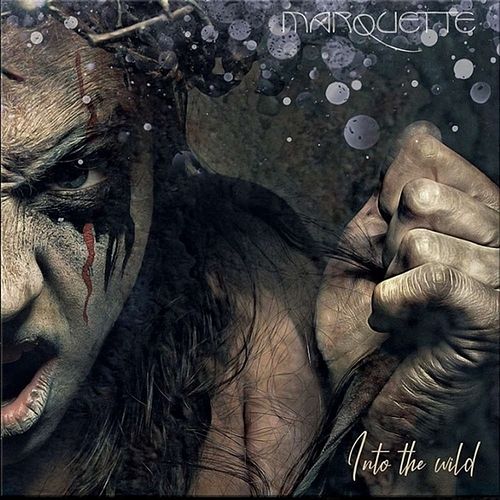 Foto van Into the wild - cd (0016027657721)