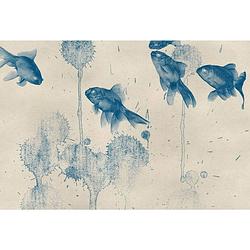 Foto van Wizard+genius blue fish vlies fotobehang 384x260cm 8-banen