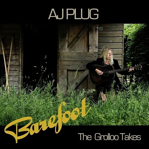 Foto van The grolloo takes - cd (8714691099985)