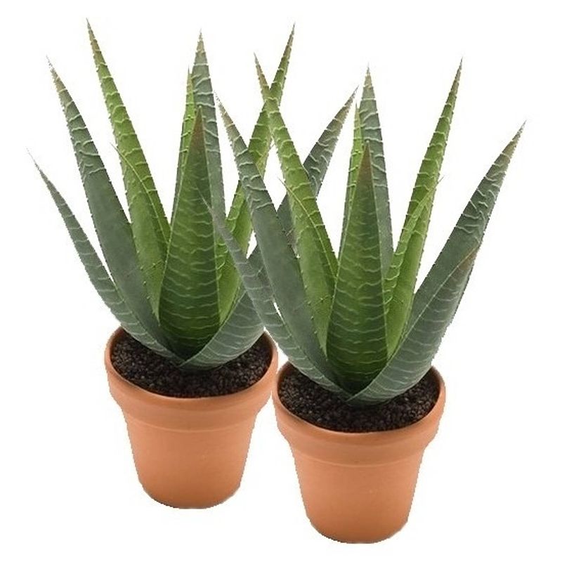 Foto van 2x kunstplant aloe vera groen in terracotta pot 23 cm - kunstplanten