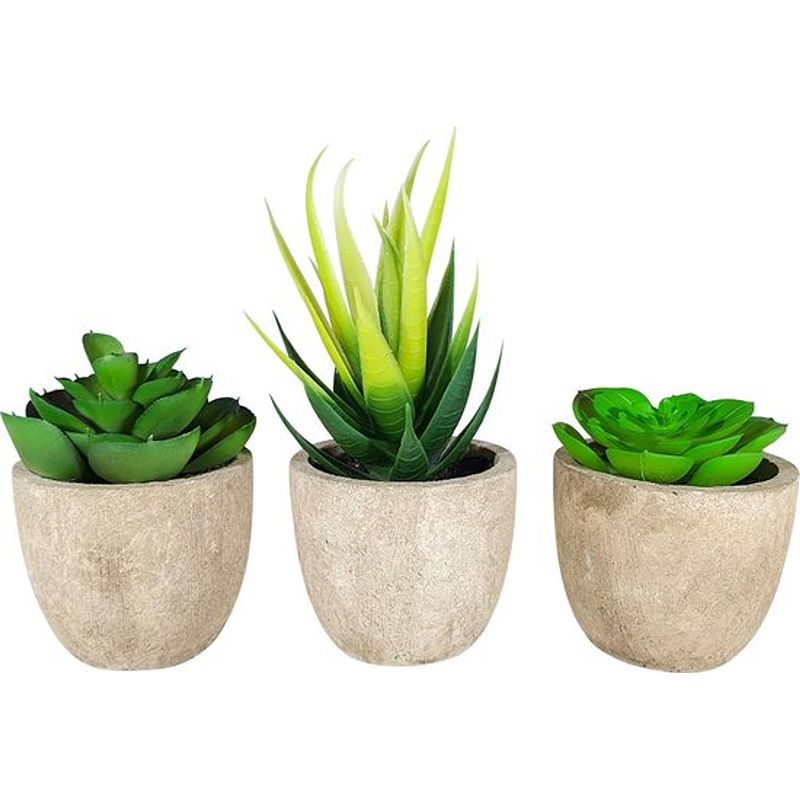 Foto van Greendream® kunstplanten - kamerplanten - nep planten - vetplanten - 3 stuks - kunstplant - cadeautip