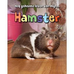 Foto van Hamster - het geheime leven van mijn...