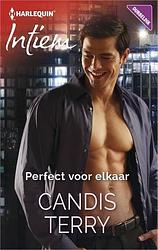 Foto van Perfect voor elkaar - candis terry - ebook