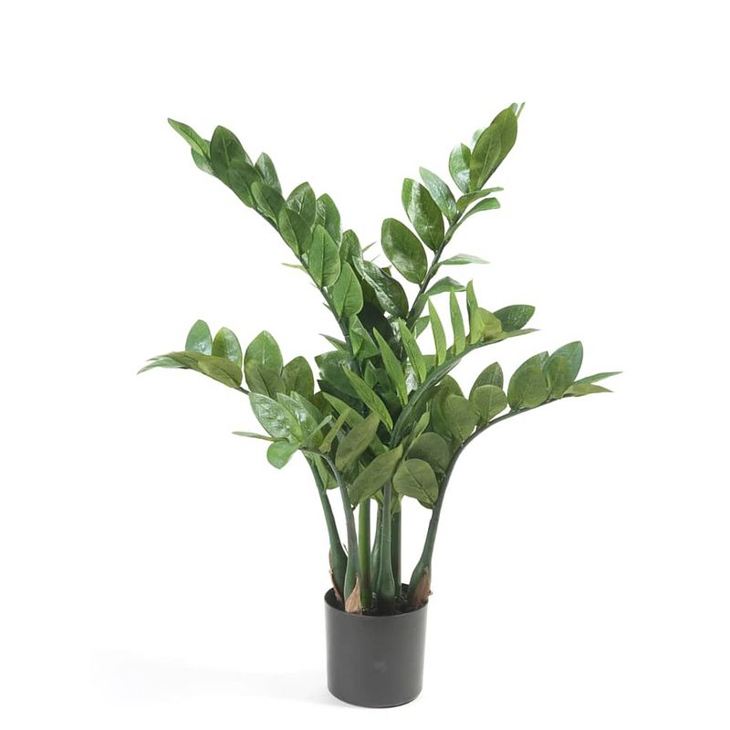 Foto van Emerald kunstplant zamioculcas 70 cm