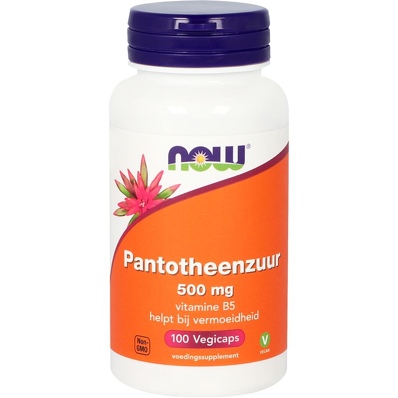 Foto van Now pantotheenzuur 500 mg capsules