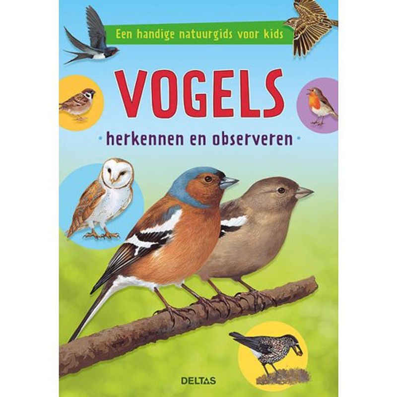 Foto van Vogels herkennen en observeren