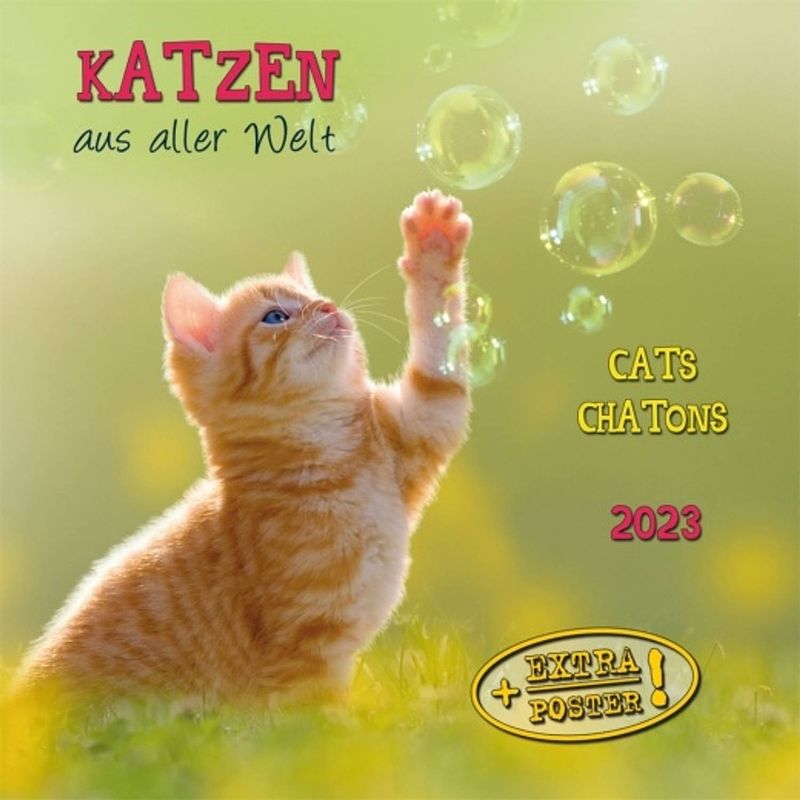 Foto van Katten kalender 2023