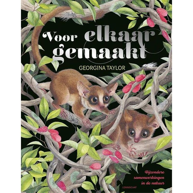 Foto van Voor elkaar gemaakt