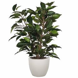 Foto van Groene ficus kunstplant 40 cm met plantenpot taupe d13.5 en h12.5 cm - kunstplanten