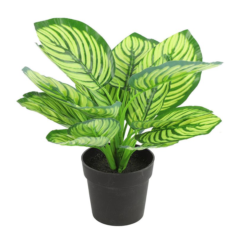 Foto van Kunstplant calathea in bloempot - groen - 15 x 28 cm - kunstplanten