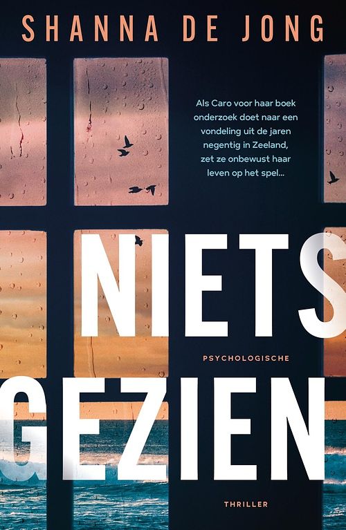 Foto van Niets gezien - shanna de jong - ebook