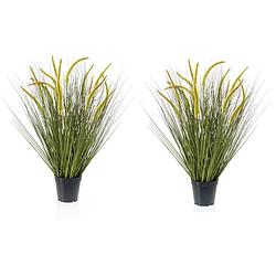 Foto van Set van 2x stuks kunstplanten groen gras sprieten 70 cm. - kunstplanten
