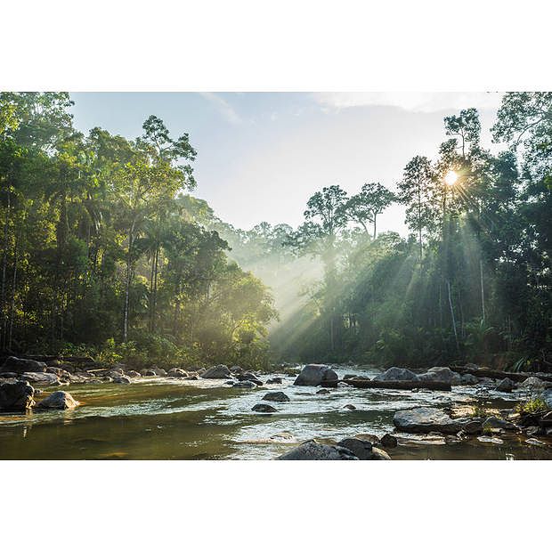 Foto van Spatscherm zonnige rivier - 80x55 cm