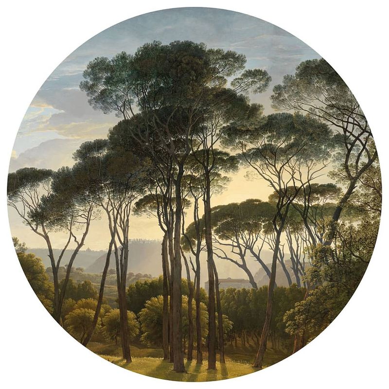 Foto van Wallart behangcirkel umbrella pines in italy 190 cm