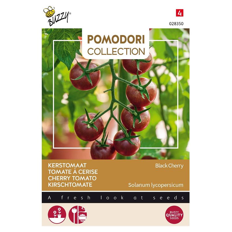 Foto van 5 stuks pomodori black cherry