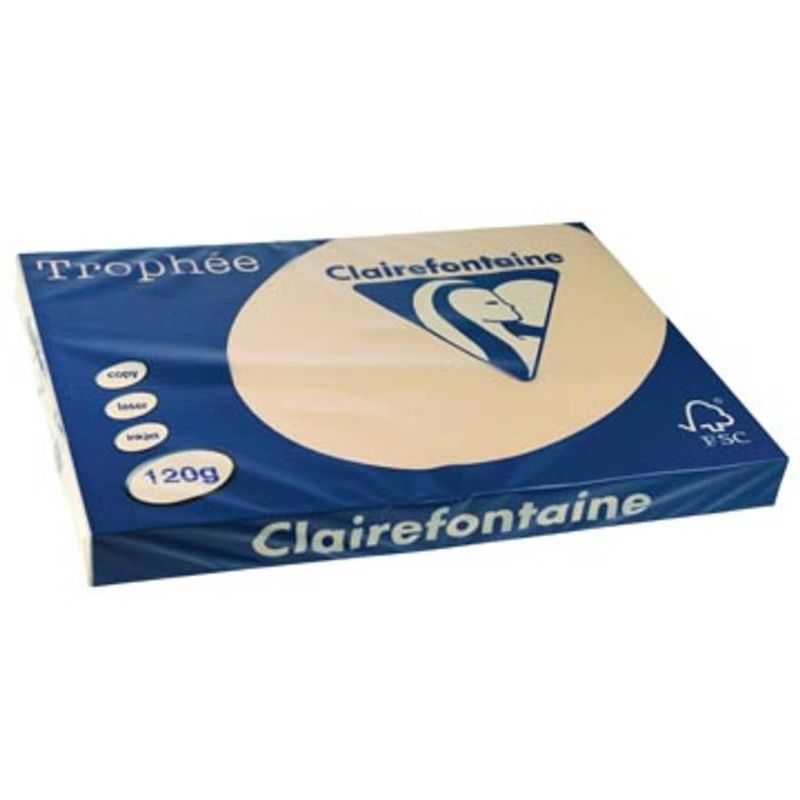 Foto van Clairefontaine trophée pastel a3 parelgrijs, 120 g, 250 vel