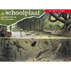 Foto van De schoolplaat / in ons land