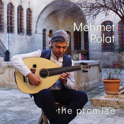 Foto van The promise - cd (7436907033002)