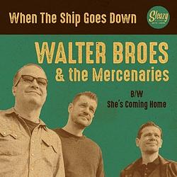 Foto van When the ship goes down - 7 inch vinyl;7 inch vinyl (2090405344517)