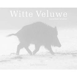 Foto van Witte veluwe