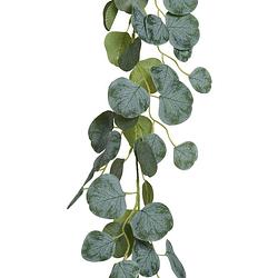 Foto van Everlands planten slinger - bladeren slinger - kunstplant - groen - 180 cm - kunstplanten