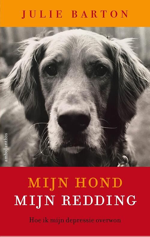 Foto van Mijn hond mijn redding - julie barton - ebook (9789026335242)