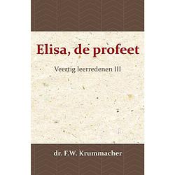 Foto van Elisa, de profeet 3