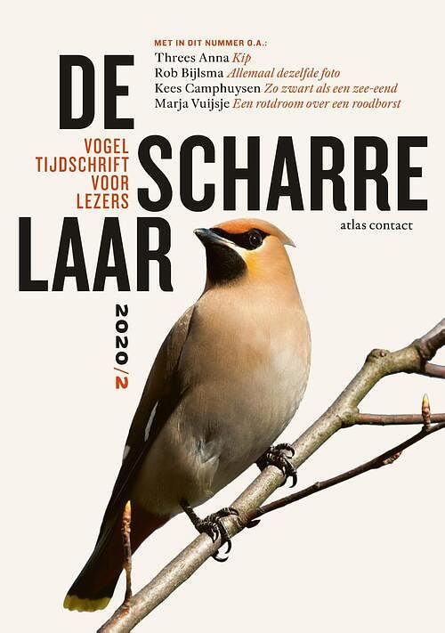 Foto van De scharrelaar - 2020/2 - diverse auteurs - ebook (9789045042831)