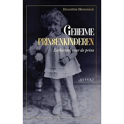 Foto van Geheime prinsenkinderen - grootletterboek