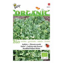 Foto van 5 stuks organic andijvie nr. 5 (skal 14725) tuinplus