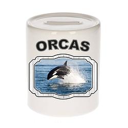 Foto van Dieren orka spaarpot - orcas/ orka vissen spaarpotten kinderen 9 cm - spaarpotten