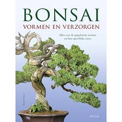 Foto van Bonsai